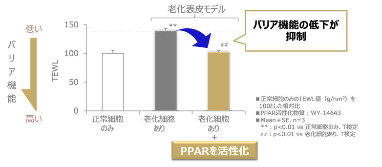 図3 PPARの活性化により肌のバリア機能低下が抑制される
